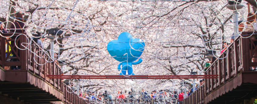 진해군항제 주차 2026 무료주차장 셔틀버스 꿀팁 총정리