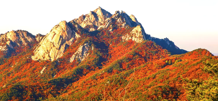 북한산 주차요금 대신 지하철 대중교통 이용법 안내