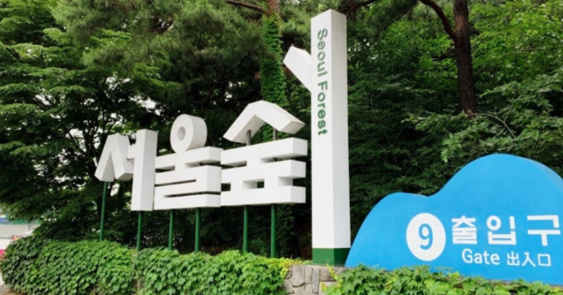 서울숲 주차요금 갤러리아포레 무료주차 꿀팁 대체주차장 안내