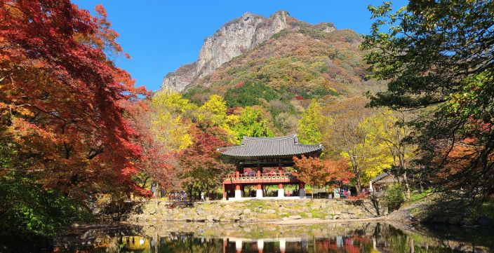 설악산 주차요금 소공원 하루 4000원 오색 30분 500원 오색공영 무료 입구별 비교