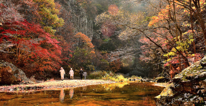 설악산 오색 무료 공영주차장 위치 남설악 탐방지원센터 도보 25분