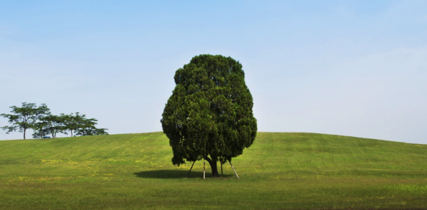 올림픽공원 주차장 P1 P2 P4 P5 P6 공연장별 가까운 주차장 KSPO돔 P5 올림픽홀 P2 88잔디마당 P6