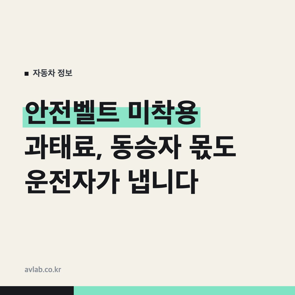 안전벨트 미착용 과태료, 동승자 몫도 운전자가 냅니다