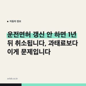 운전면허 갱신 안 하면 1년 뒤 취소됩니다, 과태료보다 이게 문제입니다