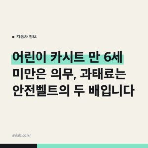 어린이 카시트 만 6세 미만은 의무, 과태료는 안전벨트의 두 배입니다