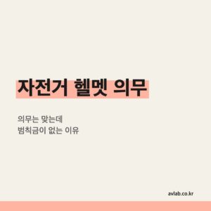 자전거 헬멧 의무