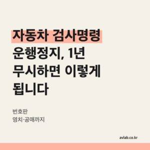 자동차 검사명령 운행정지