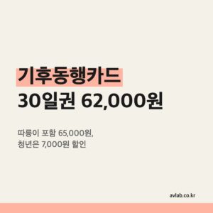기후동행카드 30일권 62