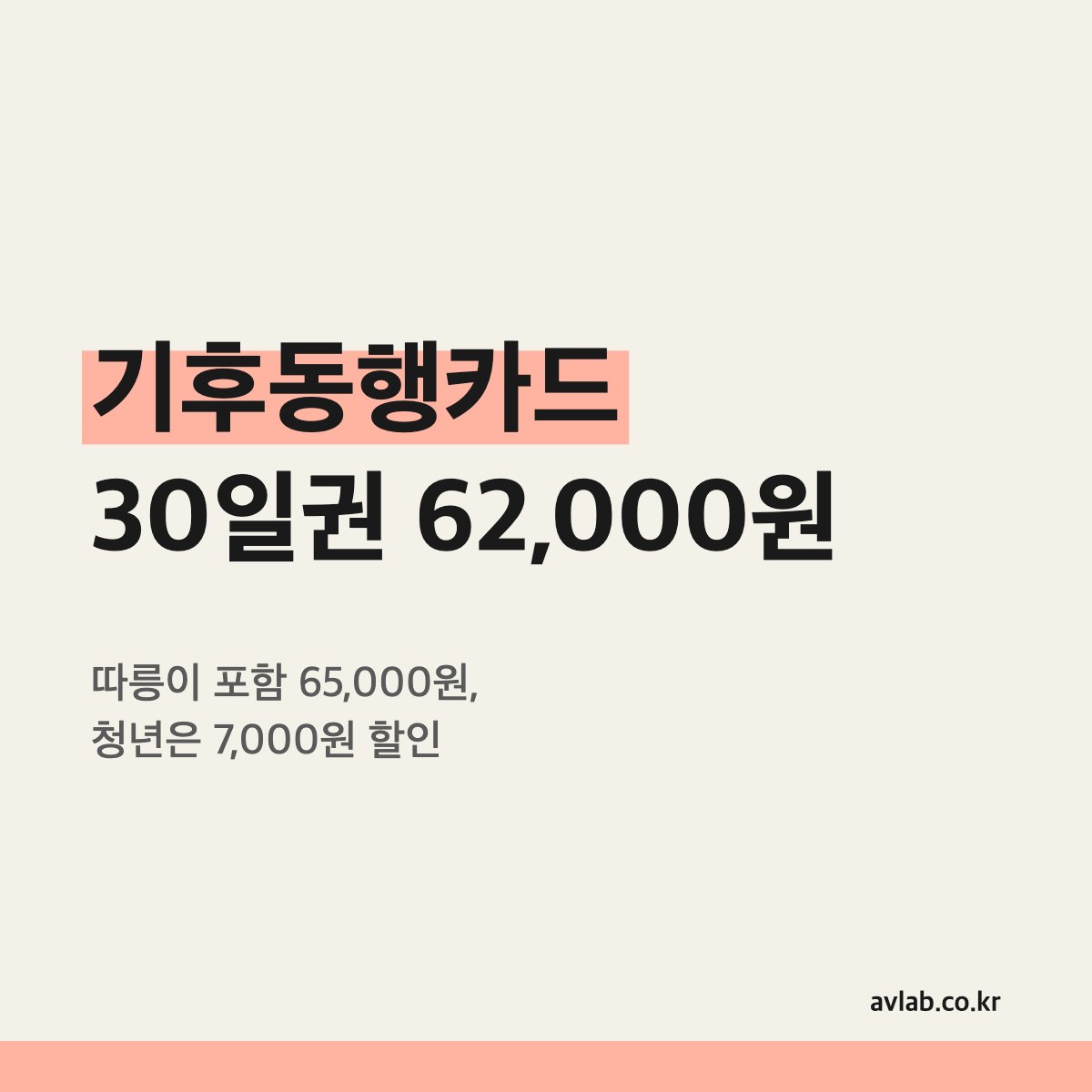 기후동행카드 30일권 62