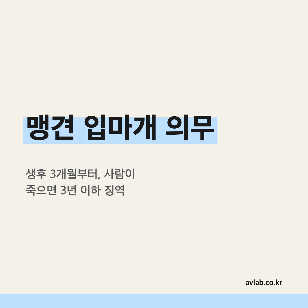 맹견 입마개 의무