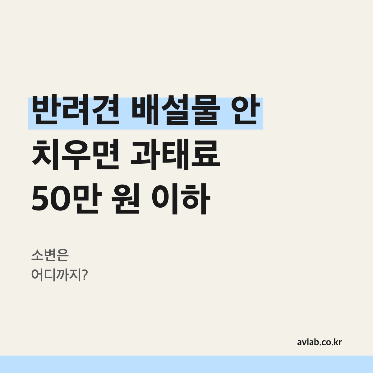 반려견 배설물 안 치우면 과태료 50만 원 이하