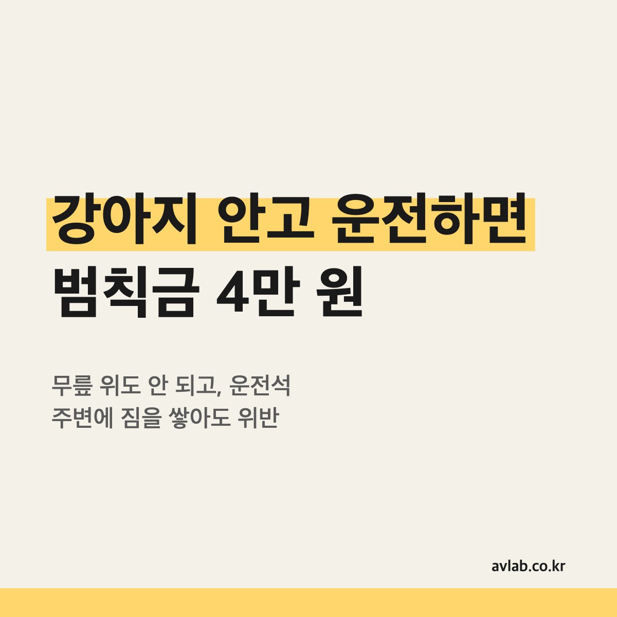 강아지 안고 운전하면 범칙금 4만 원
