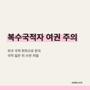 복수국적자 여권 주의
