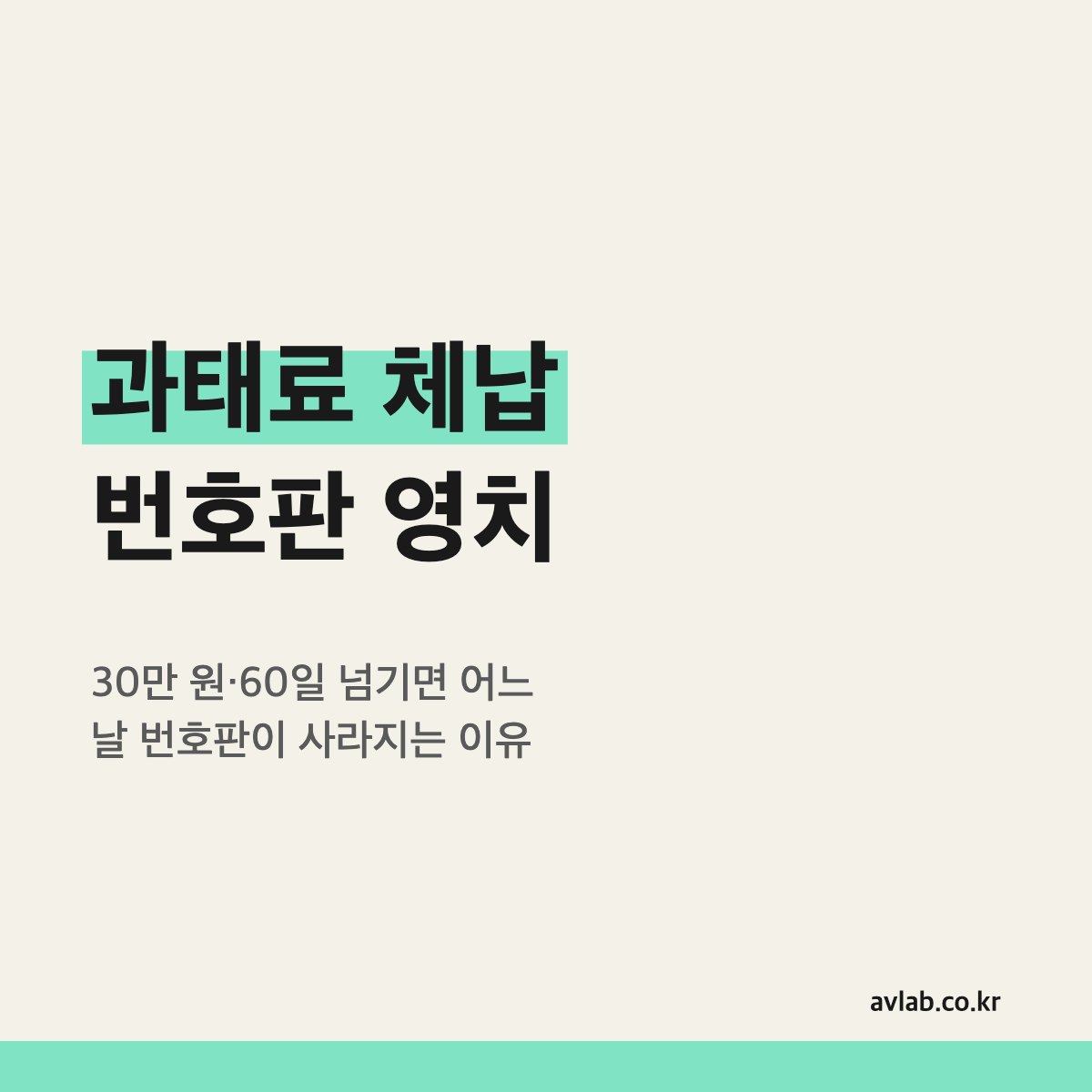 과태료 체납 번호판 영치