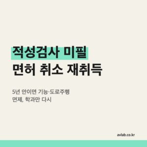 적성검사 미필 면허 취소 재취득