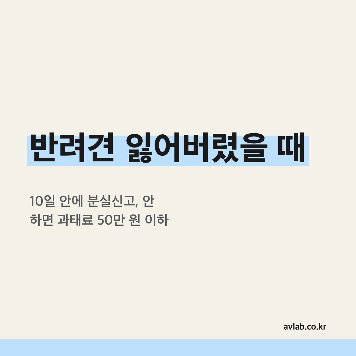 반려견 잃어버렸을 때