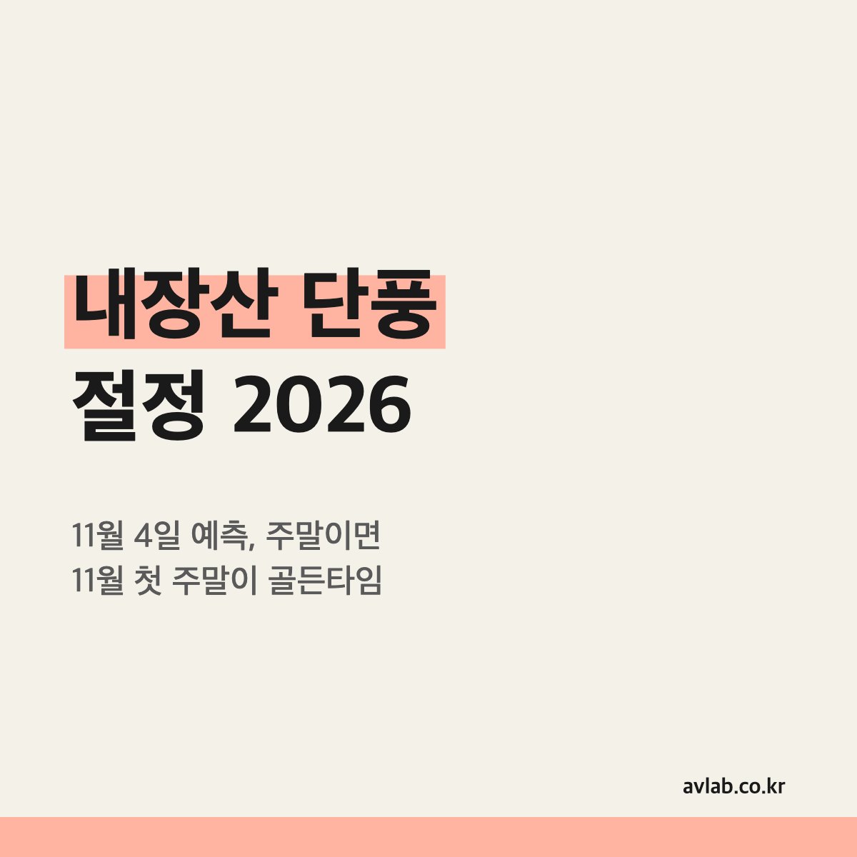 내장산 단풍 절정 2026