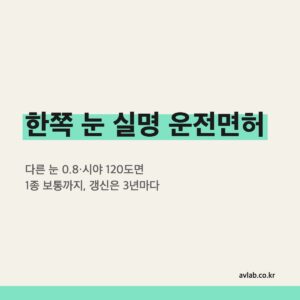 한쪽 눈 실명 운전면허