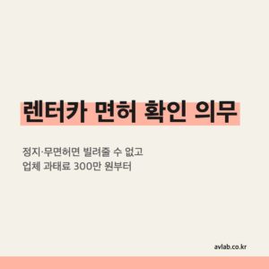 렌터카 면허 확인 의무