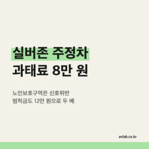 실버존 주정차 과태료 8만 원