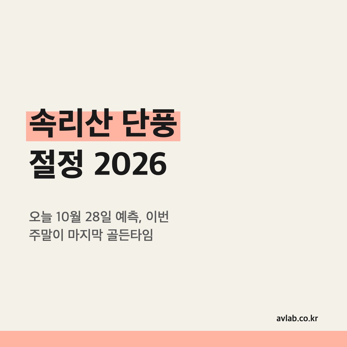 속리산 단풍 절정 2026