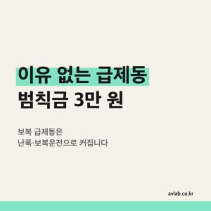 이유 없는 급제동 범칙금 3만 원