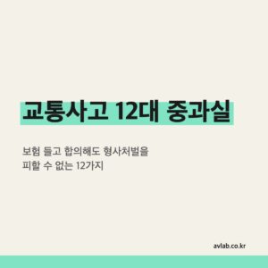 교통사고 12대 중과실